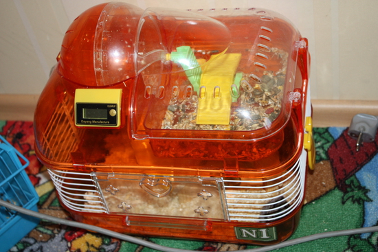 Отдам скрепя сердцем..