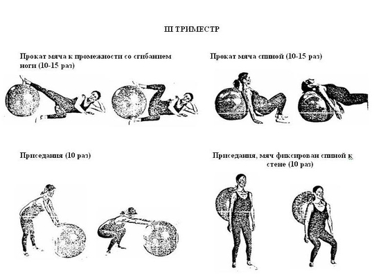 Тренировки для беременных 1 триместр тренажерный зал