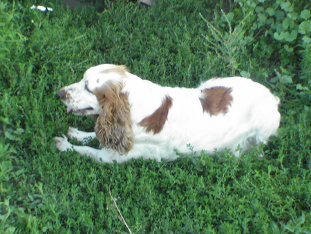 7351e9a11496d844eea8bb9133dd73e8_39420.j