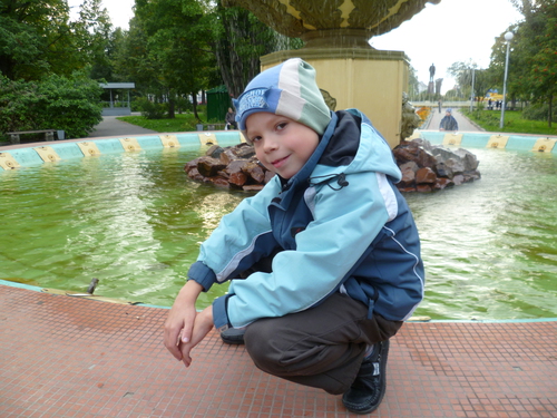 Картинка