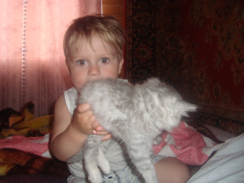 Картинка